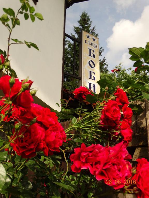Bobi Guest House Koprivshtitsa Luaran gambar