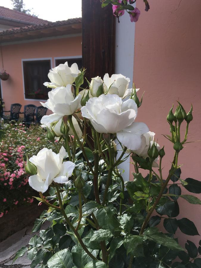 Bobi Guest House Koprivshtitsa Luaran gambar