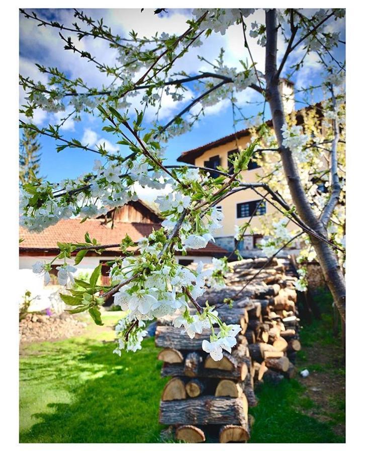 Bobi Guest House Koprivshtitsa Luaran gambar